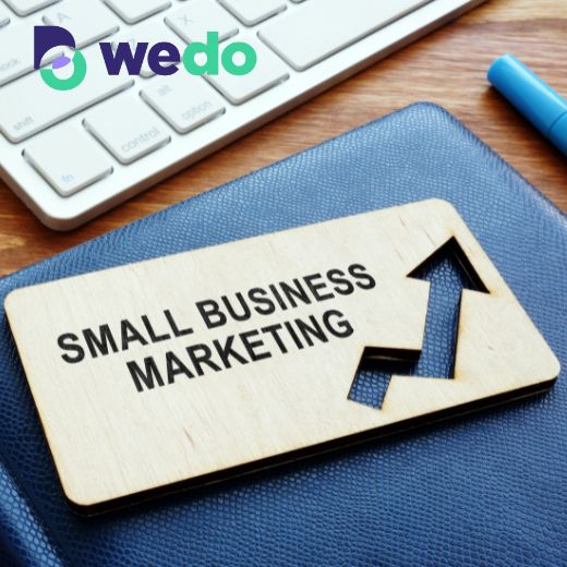 Small Business Marketing wedo Agency Florida